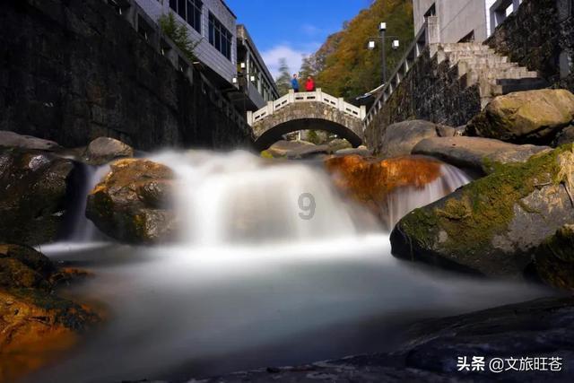 热门话题,全面了解脑筋急转弯,鸡和鹅同时放在冰山上,为什么鹅没有死鸡却死了